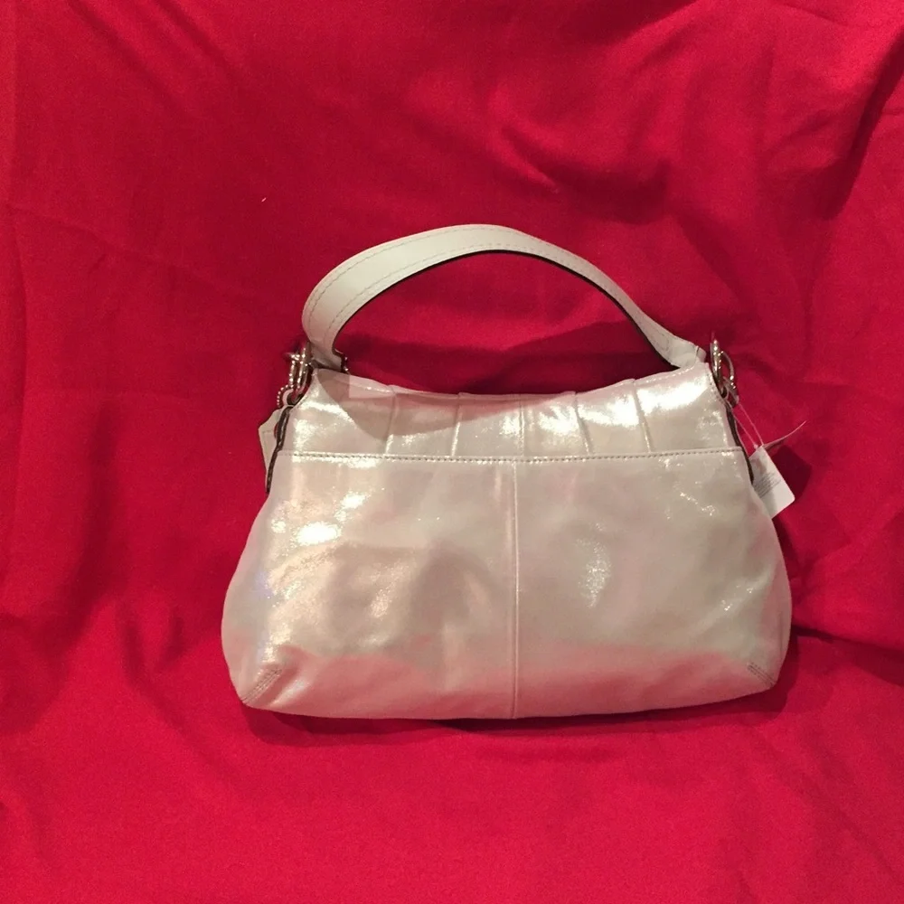 Coach Sueded Leather Very Unique Sparkled Bag NWT